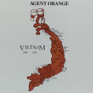 Agent Orange Effects in Vietnam