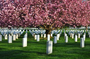 Memoral Day began as Decoration Day, Arlington National Cemetery