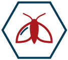 Icon of a cyborg moth