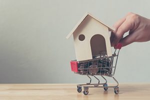 A small home sits in a tiny shopping cart